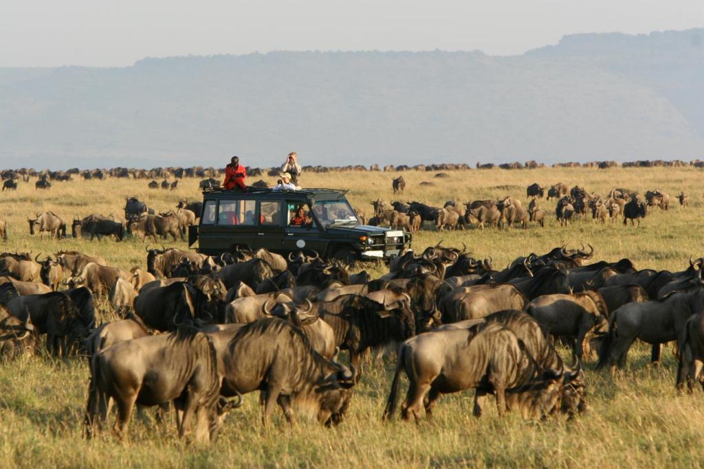 Hotel Rekero Camp Mara Simba Zewnętrze zdjęcie