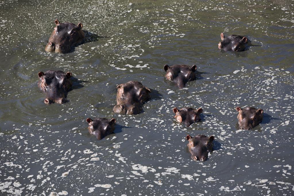 Hotel Rekero Camp Mara Simba Zewnętrze zdjęcie